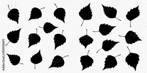 Set of black silhouettes of birch leaves isolated on a transparent background.