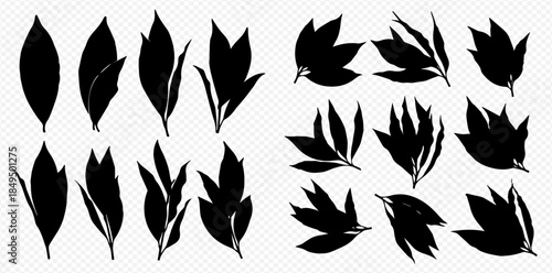 Set of black silhouette leaves in various shapes and arrangements, isolated on a transparent background for design elements.