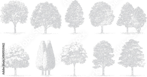 Collection of ten diverse deciduous and coniferous trees rendered in a detailed line style with a monochromatic grey outline on a white background
