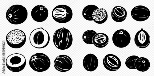 Set of black and white illustrations featuring various fruits and nuts, whole and sliced, showcasing different textures and shapes.
