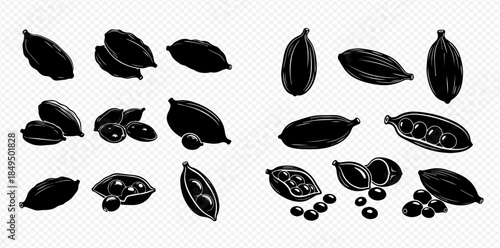 Set of black silhouettes of cardamom pods and seeds, whole and opened, on a transparent background.