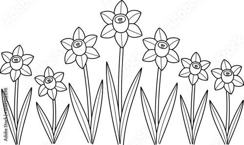 Black and white line of daffodils with star symbols in centers