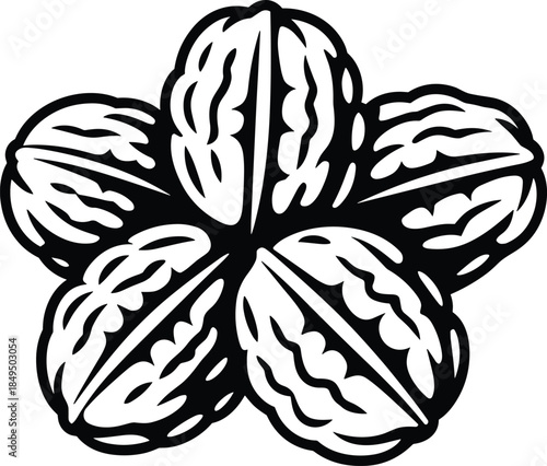 Black and white of a brain with five lobes medical