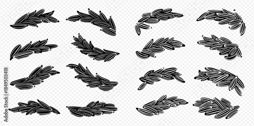 Set of black cumin seeds in various piles and arrangements on a transparent background.