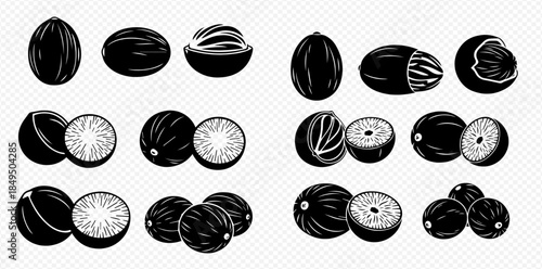 Set of black and white nutmeg illustrations showing whole and cut nutmeg seeds.