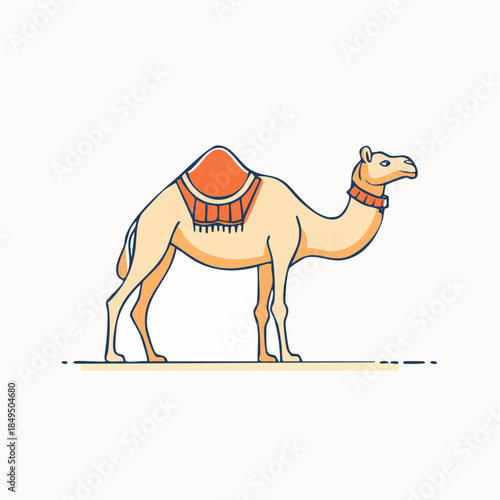 Camel with saddle on white background