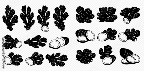 Set of black and white ginger root illustrations, whole and sliced, for culinary and medicinal use.