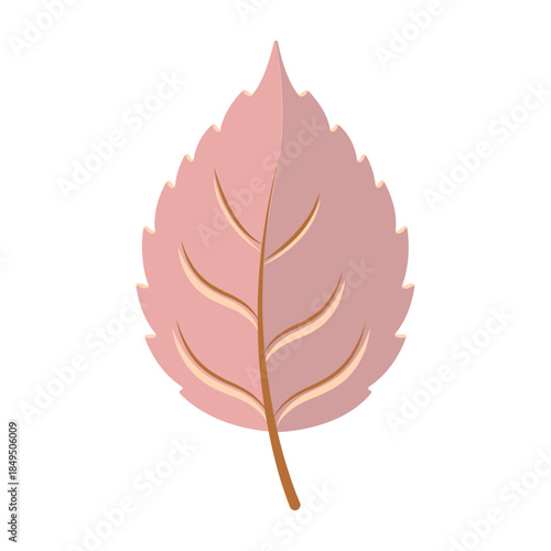 Vector colourful icon for Elm leaf