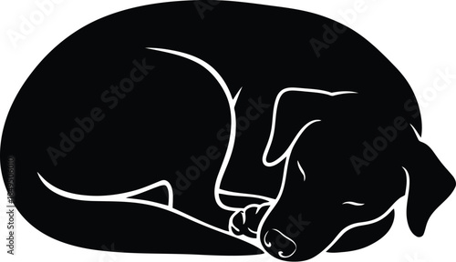 Silhouette of a dog sleeping curled up peacefully