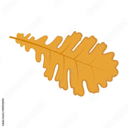 Vector colourful icon for Dried oak leaf