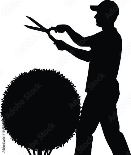 Silhouette of a gardener trimming a round bush 