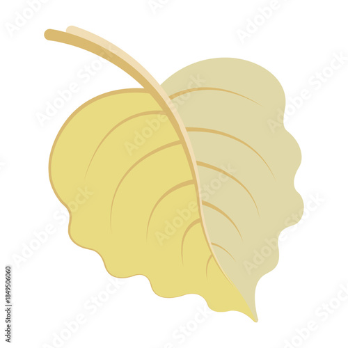 Vector colourful icon for Japanese maple