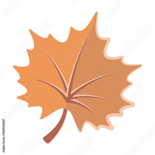 Vector colourful icon for Maple leaf