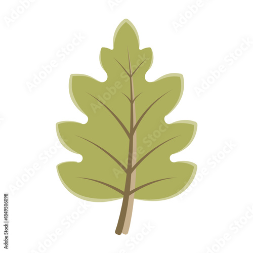 Vector colourful icon for Oak leaf