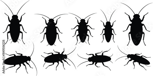 Cockroach silhouettes collection showing insect pests in different views isolated on white background vector illustration