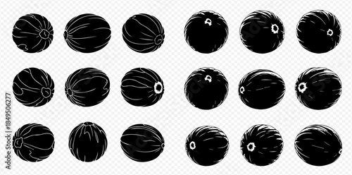 Set of black silhouettes of watermelons and cantaloupes on a transparent background.