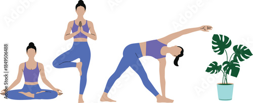 Women doing yoga in tree, meditation, and side stretch poses, wellness and fitness vector illustration with indoor plant, calm lifestyle, mindfulness, and balance