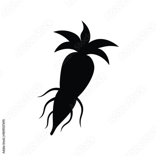Cassava root silhouette tropical vegetable farm produce on white background Vector illustration