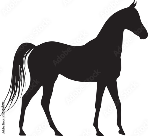 Akhal-Teke Horse Vector Silhouette Black Isolated on White Background