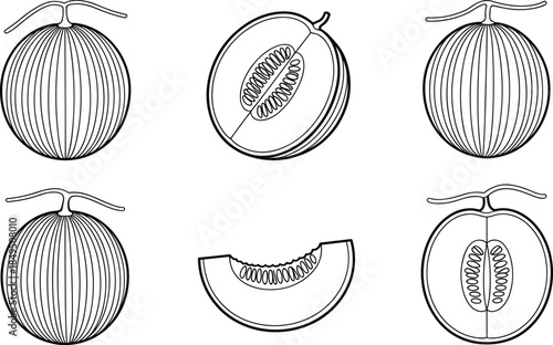 Watermelon Slices and Halves with Seeds fruit