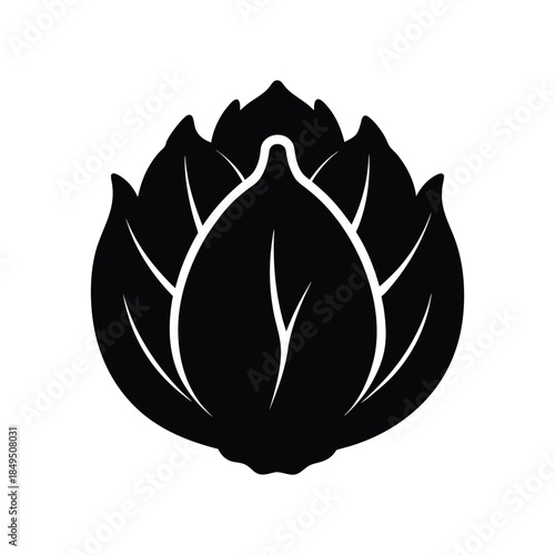 Radicchio leaf silhouette healthy salad vegetable art on white background Vector illustration