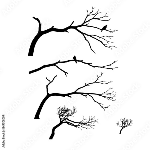 dry branches of tree and birds sitting on it silhouette pack