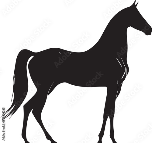 Akhal-Teke Horse Vector Silhouette Black Isolated on White Background