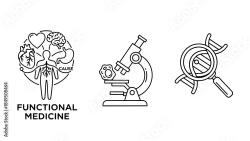 Functional medicine concept icons: anatomy diagram, microscope, and DNA magnifier in outline vector style