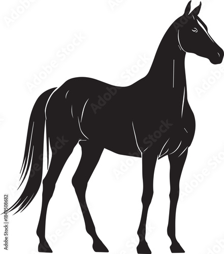 Akhal-Teke Horse Vector Silhouette Black Isolated on White Background