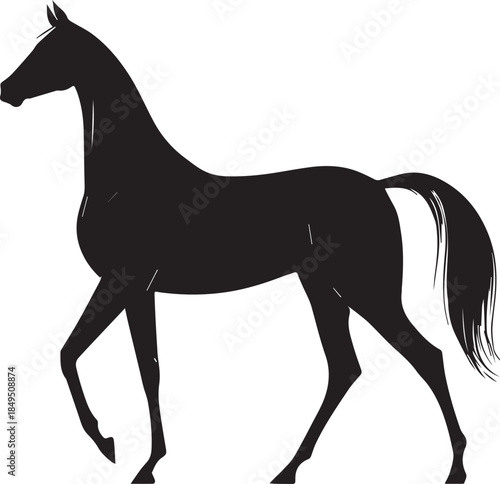 Akhal-Teke Horse Vector Silhouette Black Isolated on White Background