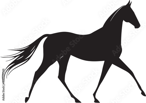 Akhal-Teke Horse Vector Silhouette Black Isolated on White Background