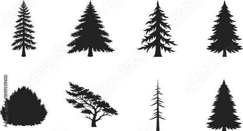 Evergreen tree silhouette collection illustration, pine spruce and forest shapes for nature landscape design, botanical icons, outdoor woodland black vector set
