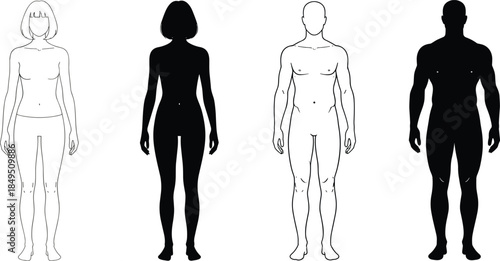 Male and female human body silhouettes illustration, front view anatomy figures in outline and solid styles, medical reference, fitness, proportions vector design