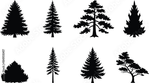 Tree silhouette collection illustration, evergreen pine and forest shapes for nature design, landscape decoration, botanical icons, outdoor woodland vector set