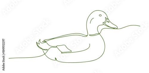 Featuring a colorful hand-drawn design, this vector illustration presents a duck in a minimalist style.

