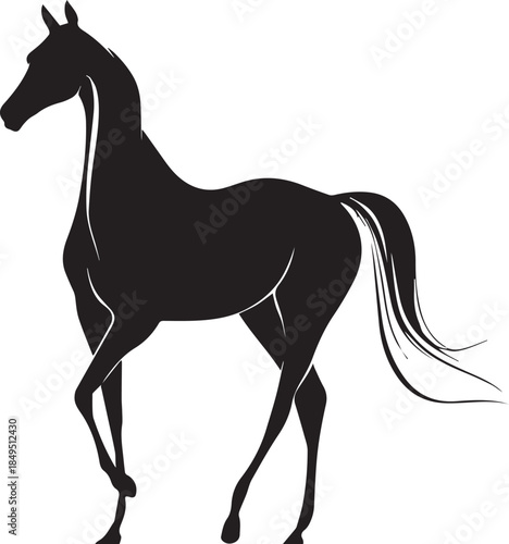 Akhal-Teke Horse Vector Silhouette Black Isolated on White Background