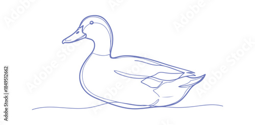 This is a colorful, hand-drawn vector illustration of a duck, embodying a minimalist aesthetic.
