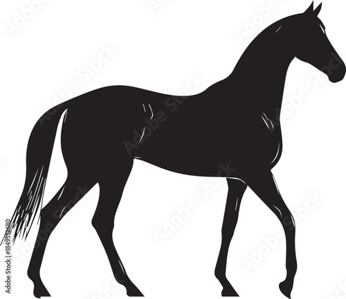 Akhal-Teke Horse Vector Silhouette Black Isolated on White Background
