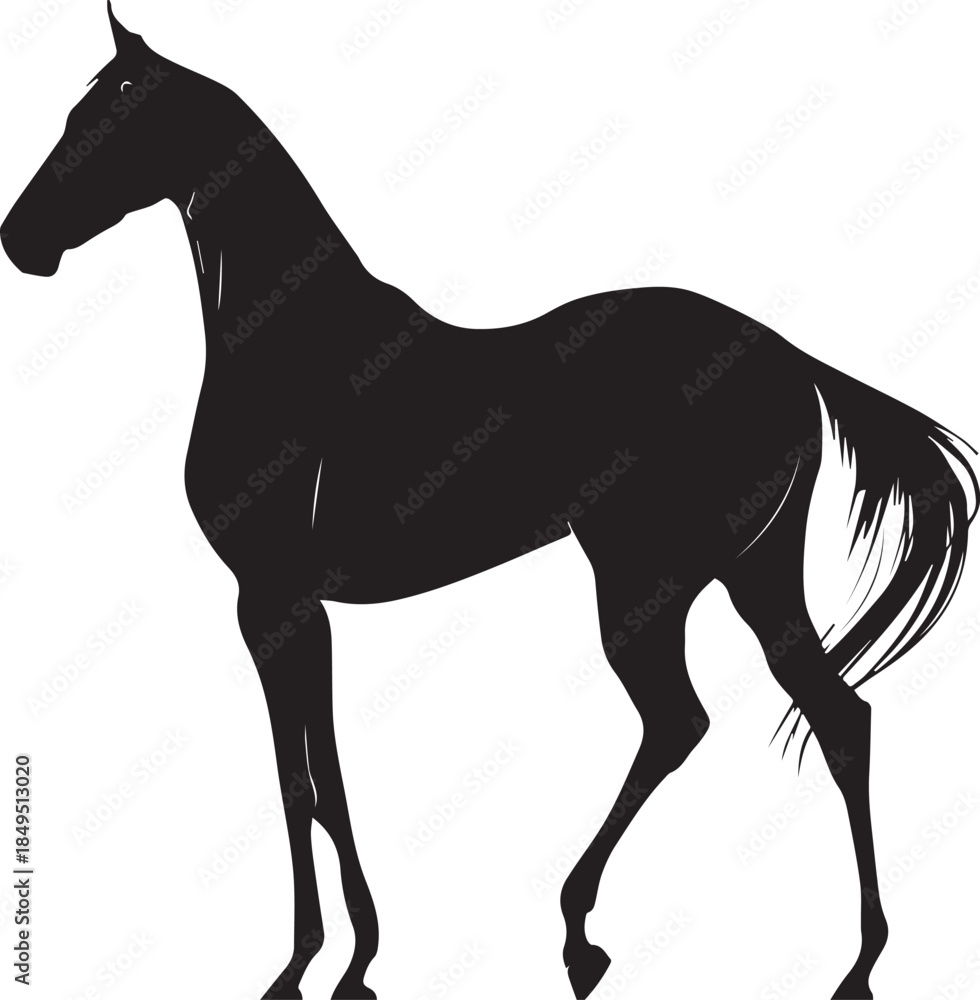 Obraz premium Akhal-Teke Horse Vector Silhouette Black Isolated on White Background