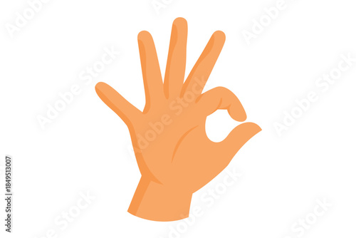 OK Hand Gesture Vector Illustration - Human Hand Showing Okay Sign Isolated on White