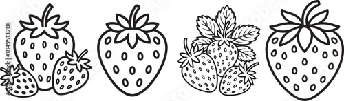Set of Strawberry Fruit Line Art Coloring Book Page Outline Illustration