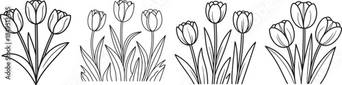 Set of Tulips Flower Line Art Coloring Book Page Outline Illustration