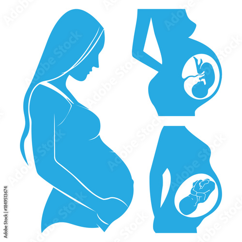 a pregnant woman with the fetus in the womb