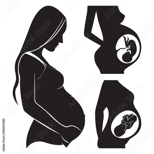 a pregnant woman with the fetus in the womb