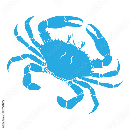 crab icon, crab vector icon, stone crab flat icon, sea crab silhouette isolated, vector illustration, isolated on white