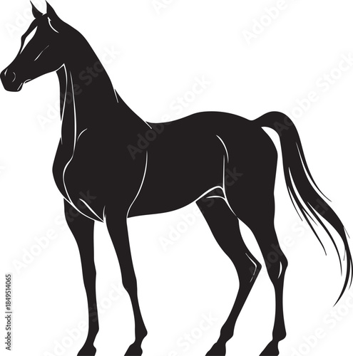 Akhal-Teke Horse Vector Silhouette Black Isolated on White Background