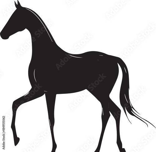 Akhal-Teke Horse Vector Silhouette Black Isolated on White Background