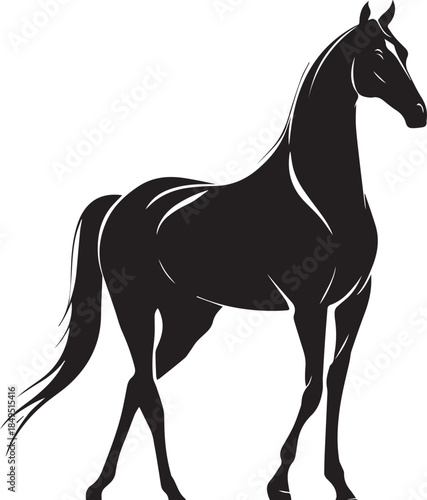 Akhal-Teke Horse Vector Silhouette Black Isolated on White Background