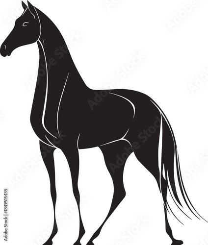 Akhal-Teke Horse Vector Silhouette Black Isolated on White Background