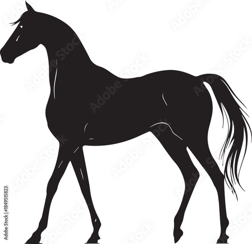 Akhal-Teke Horse Vector Silhouette Black Isolated on White Background